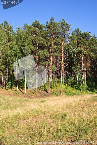 Image of Summer landscape