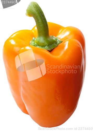 Image of Paprika isolated