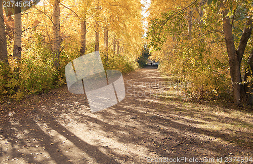 Image of Autumn landscape