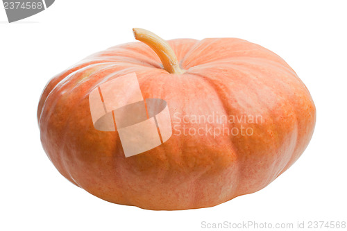Image of Pumpkin isolated