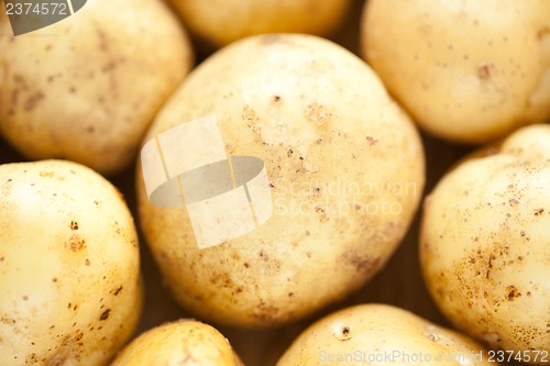 Image of Fresh potatoes