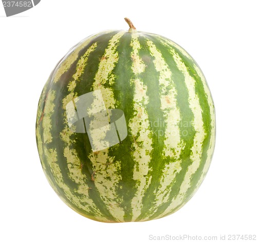 Image of Watermelon  isolated