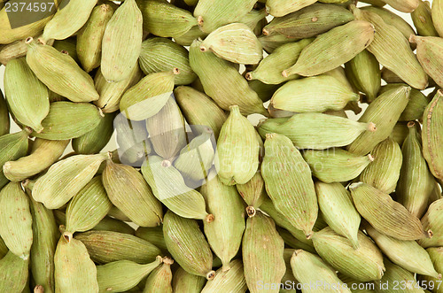 Image of Cardamom whole