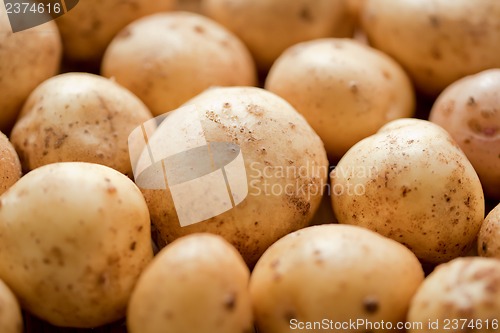 Image of Fresh potatoes