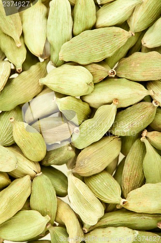 Image of Cardamom whole