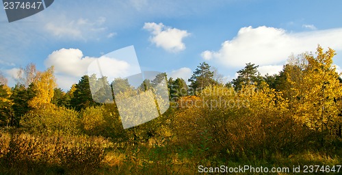 Image of Autumn landscape