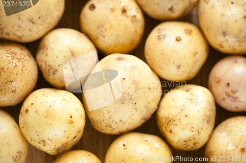 Image of Fresh potatoes