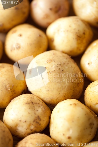 Image of Potatoes close-up