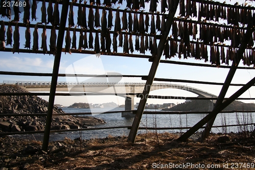 Image of drying rack and bridge