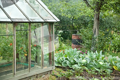 Image of Vegetable garden