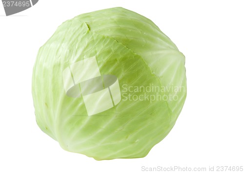 Image of Head of cabbage isolated