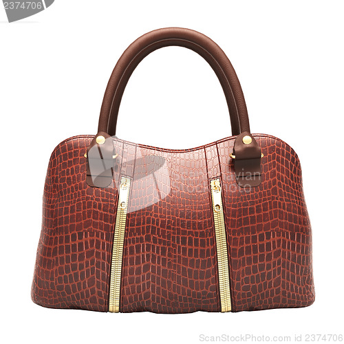 Image of Crocodile leather handbag isolated