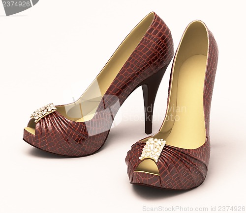 Image of Crocodile leather women's shoes with high heels