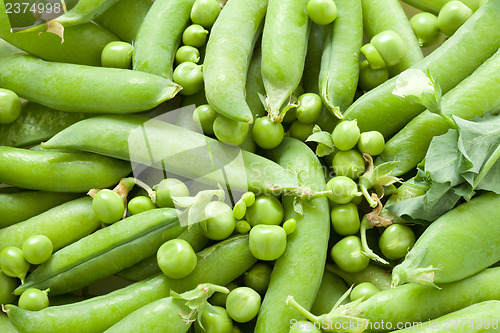 Image of Green peas in the pod