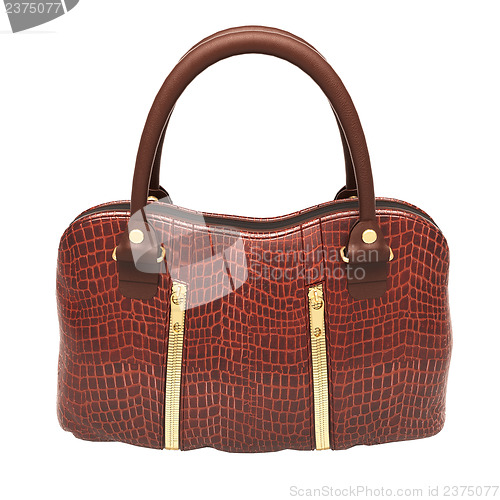 Image of Crocodile leather handbag isolated