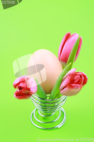 Image of egg