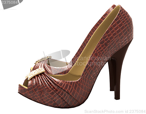 Image of Crocodile leather women's shoes with high heels