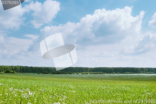 Image of Natural background