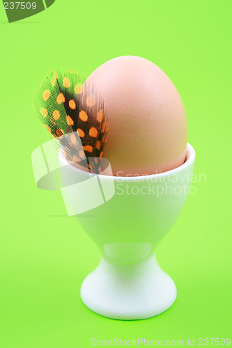 Image of egg