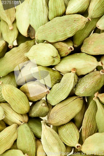 Image of Cardamom whole