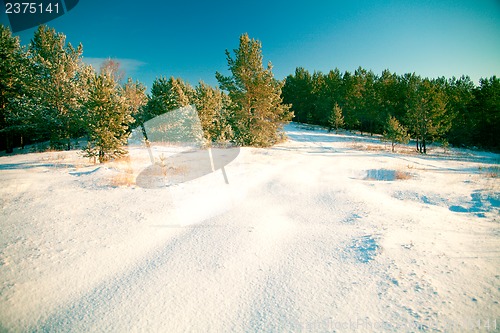 Image of Winter landscape