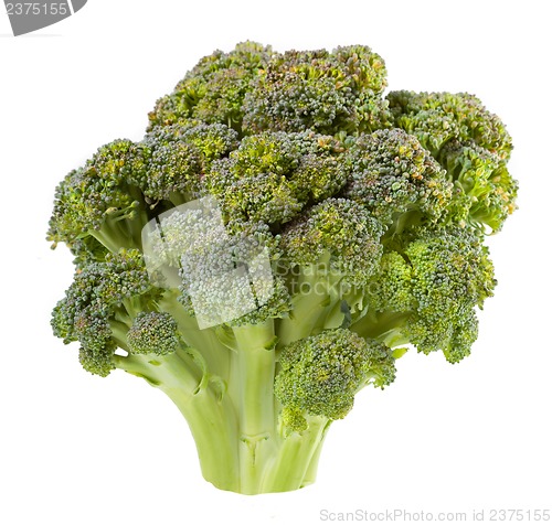 Image of Broccoli