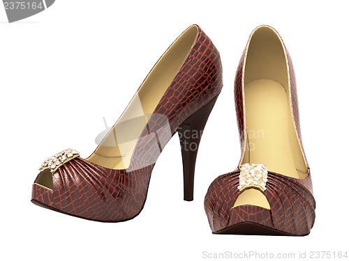 Image of Crocodile leather women's shoes with high heels