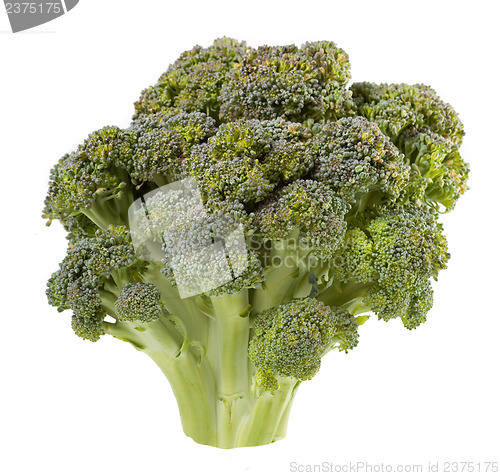 Image of Broccoli isolated