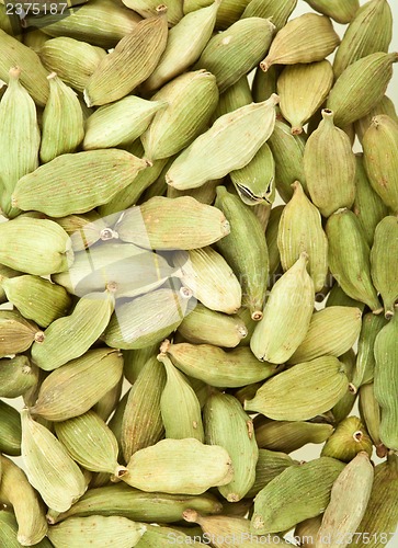 Image of Cardamom whole