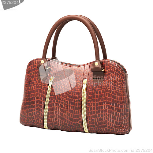 Image of Crocodile leather handbag isolated