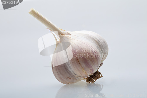 Image of Clove garlic