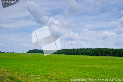 Image of Summer landscape