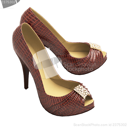 Image of Crocodile leather women's shoes with high heels