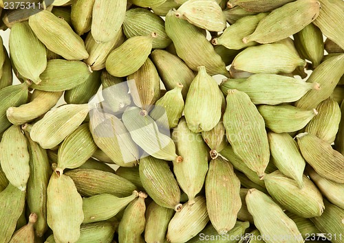 Image of Cardamom whole