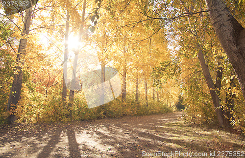 Image of Autumn landscape