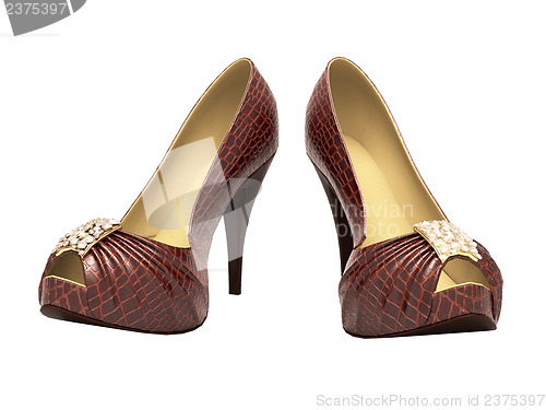 Image of Crocodile leather women's shoes with high heels