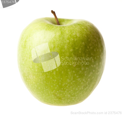 Image of Green ripe apple isolated