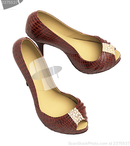 Image of Crocodile leather women's shoes with high heels