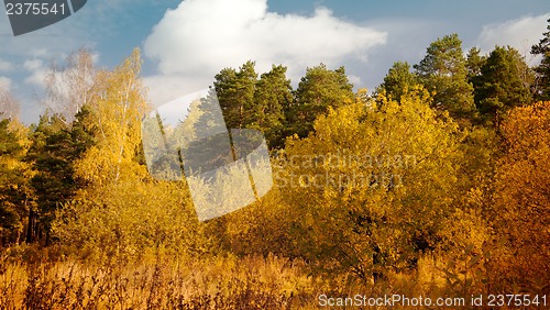 Image of Autumn landscape