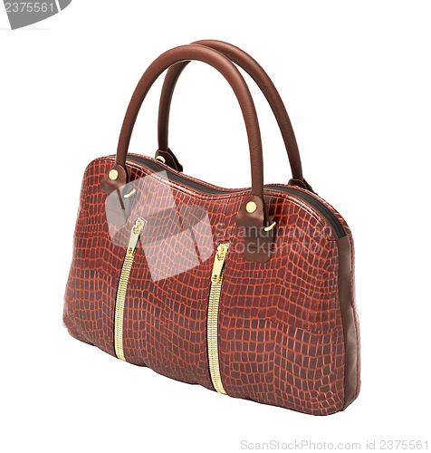 Image of Crocodile leather handbag isolated