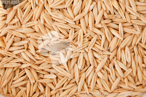 Image of Whole grain oats