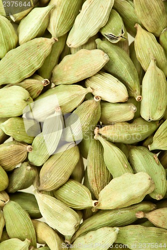 Image of Cardamom whole