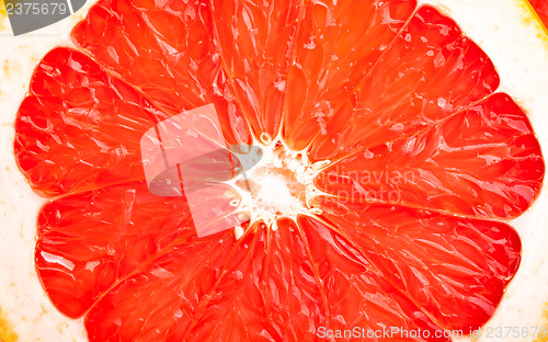 Image of Core of grapefruit close-up