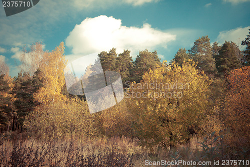 Image of Autumn landscape