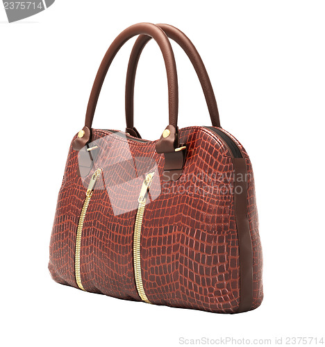 Image of Crocodile leather handbag isolated