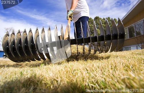 Image of yard maintenance