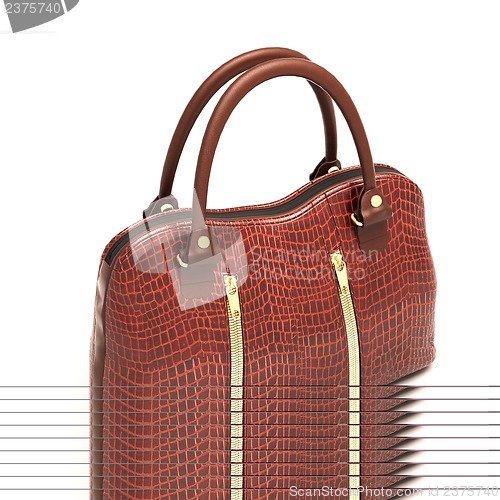 Image of Crocodile leather handbag isolated