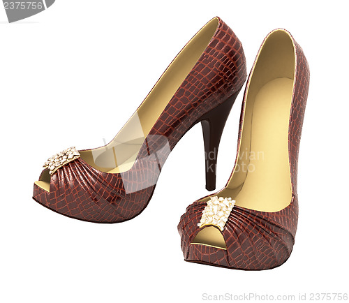 Image of Crocodile leather women's shoes with high heels