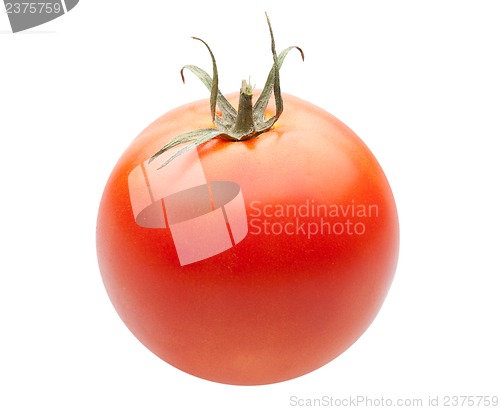 Image of Ripe tomato
