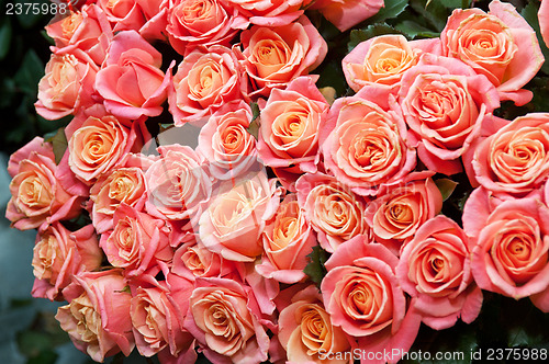 Image of bouquet of roses